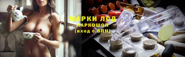 твердый Арсеньев