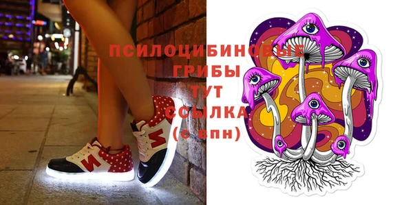 твердый Арсеньев