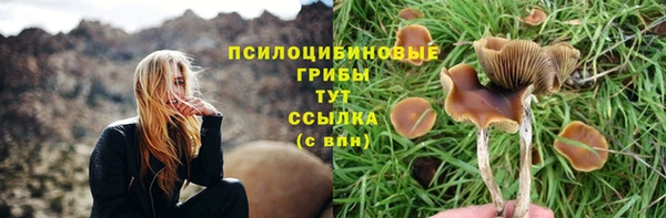 твердый Арсеньев