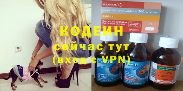 a pvp Аркадак
